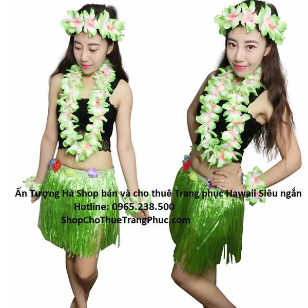 HAWAII-TONG-HOP-40CM-AN-TUONG-HA_compressed